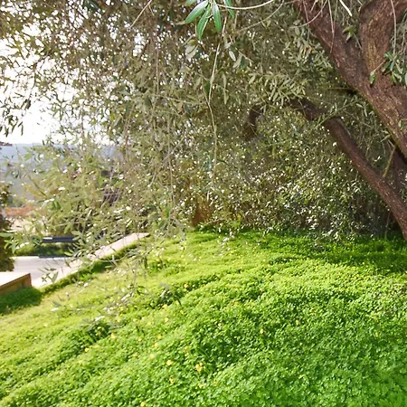 Fiorinvalle Ripa Teatina